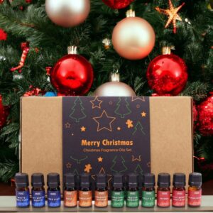 Holy Scents of Christmas fragrance oils set with 12 x 5ml festive oils and droppers